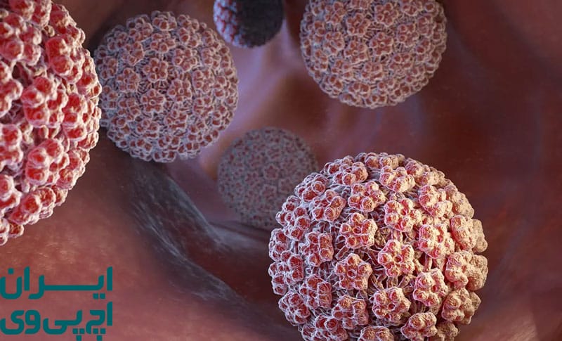 آیا HPV با درمان درست از بین می‌روند؟