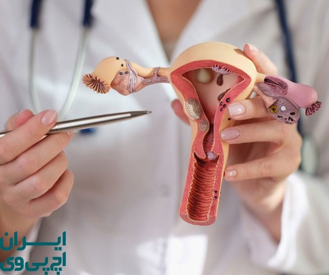 آیا درمان گیاهی زگیل تناسلی به‌ تنهایی کافی است؟