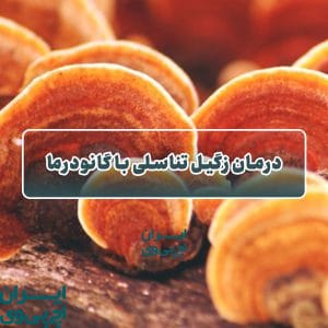 درمان زگیل تناسلی با گانودرما