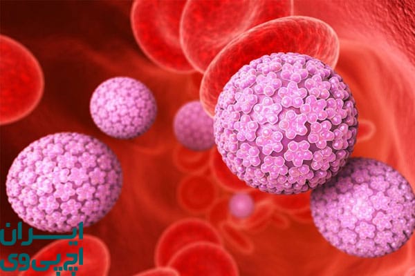 ماندگاری ویروس HPV در بدن
