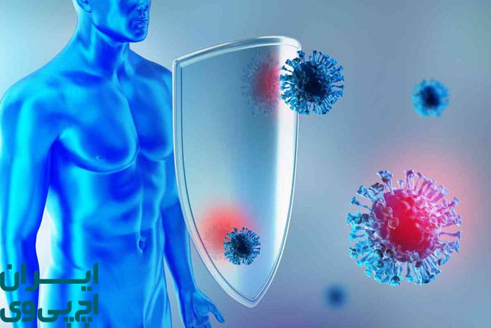 نقش سیستم ایمنی در درمان قطعی زگیل تناسلی