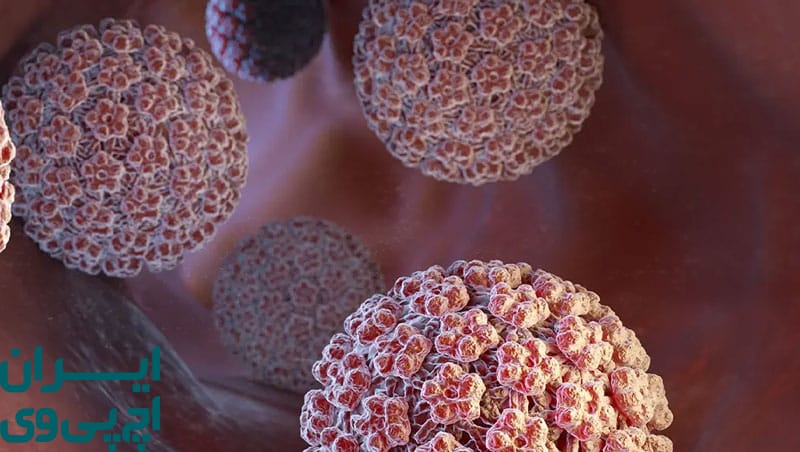 چه عواملی بر مدت ماندگاری HPV تأثیر می‌گذارند؟