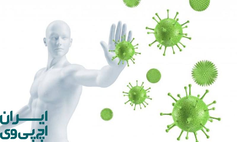 نقش سیستم ایمنی مردان در پاک‌سازی ویروس HPV