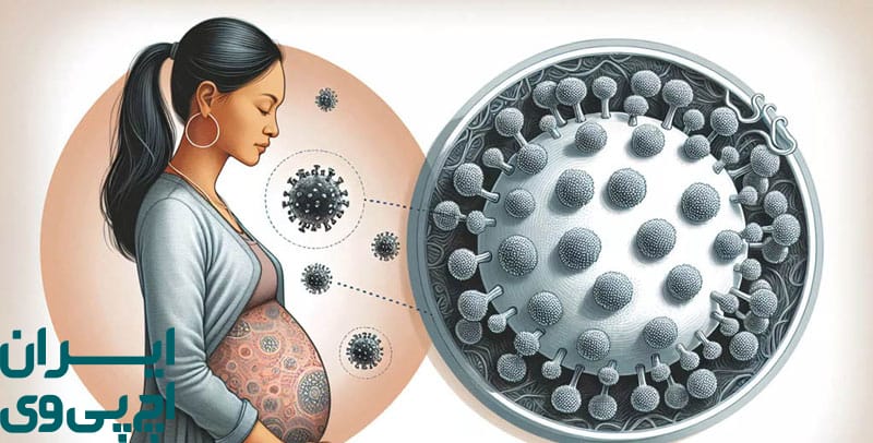 آیا HPV می‌تواند به جنین منتقل شود؟