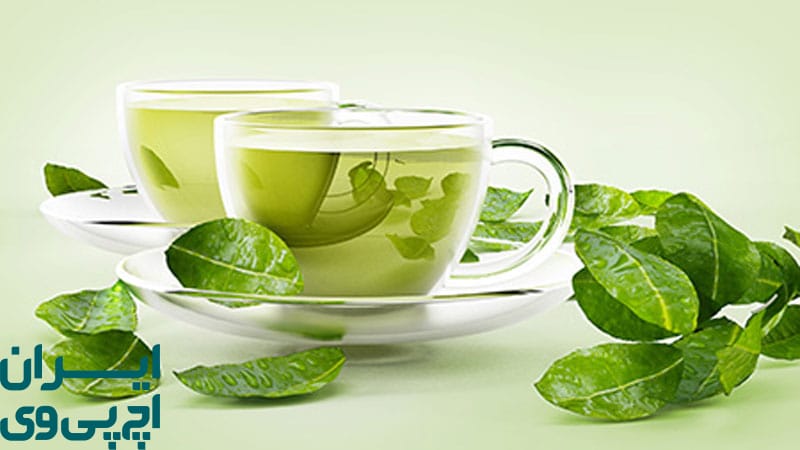 تأثیر چای سبز در کاهش علائم HPV