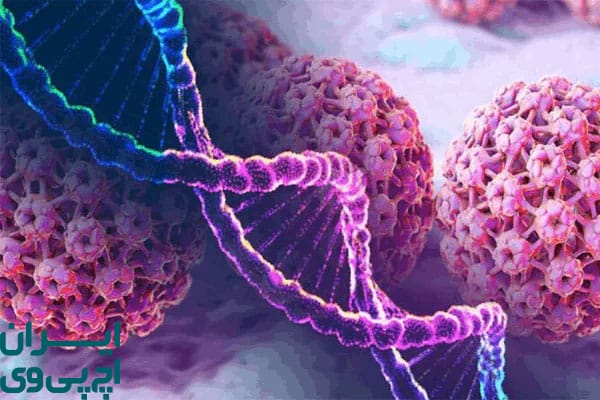 تست مولکولی HPV DNA نسل جدید