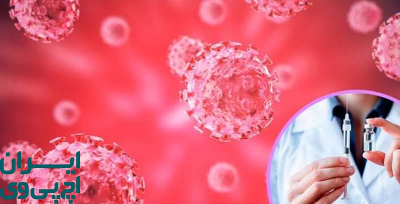 سیستم ایمنی بدن و ویروس HPV