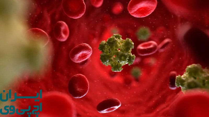 عملکرد سیستم ایمنی در شناسایی ویروس HPV