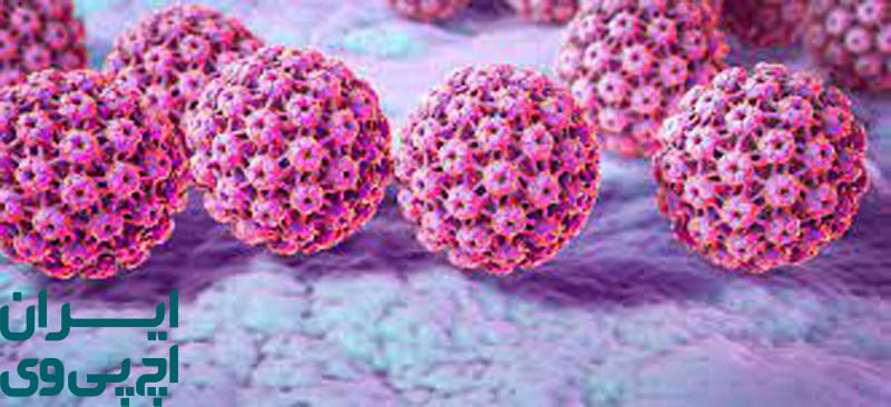 نقش ایمنی بدن در کنترل بلندمدت ویروس HPV