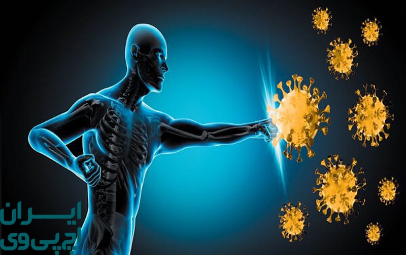 نقش سیستم ایمنی در حذف ویروس HPV