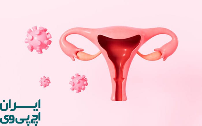 ویژگی‌ های ژنتیکی و رفتاری HPV نوع ۱۶ و ۱۸