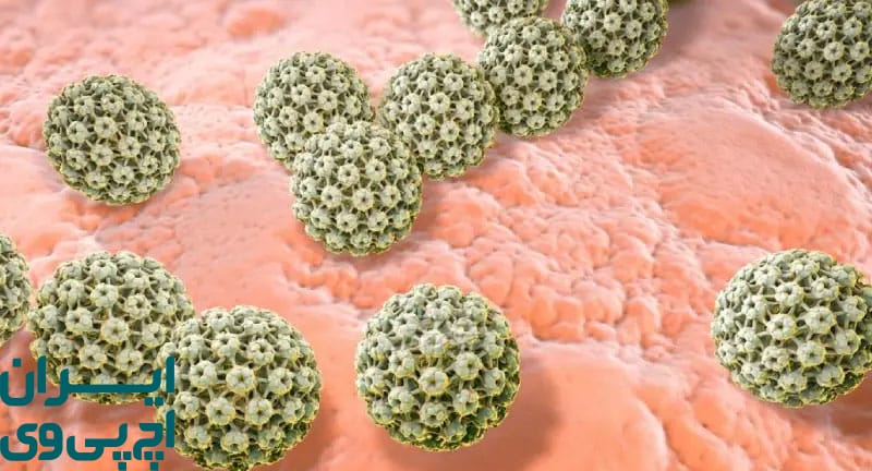 HPV کم‌خطر و پرخطر