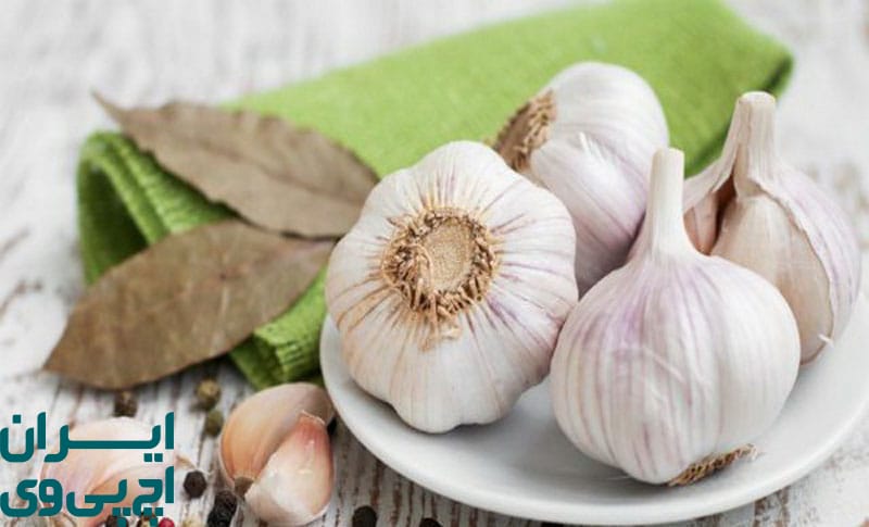 درمان زگیل تناسلی با سیر