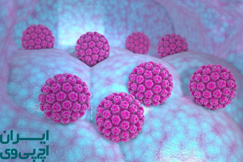 عوامل مؤثر بر مدت زمان بهبودی از ویروس HPV