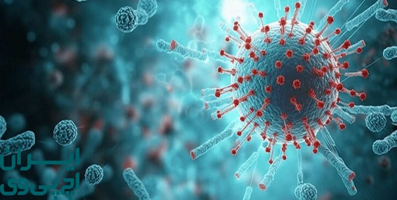 نقش سیستم ایمنی در حذف یا ماندگاری ویروس HPV