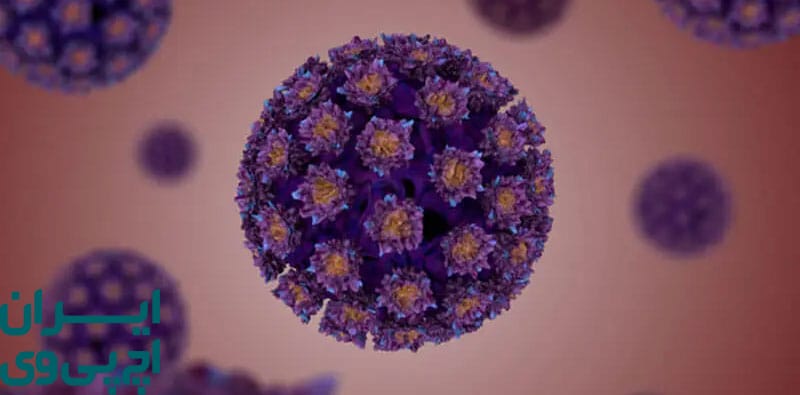 نقش قدرت سیستم ایمنی در بهبود سریع‌تر از HPV