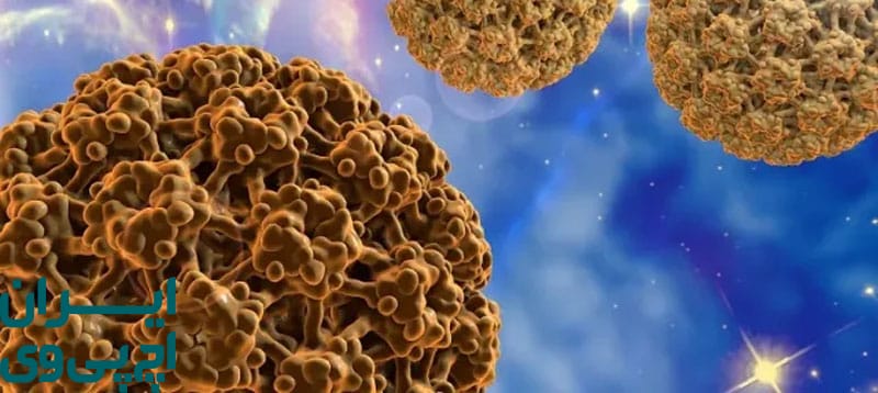 چه عواملی باعث فعال‌ شدن مجدد ویروس HPV می‌شوند؟
