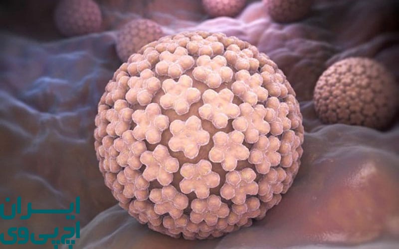 احتمال انتقال HPV در محیط‌ های عمومی