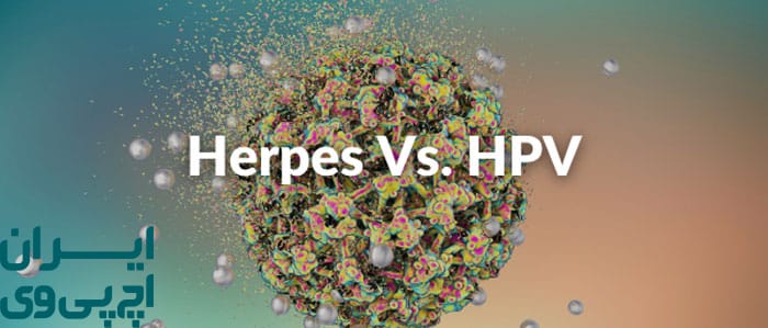 تفاوت HPV و هرپس تناسلی در عامل ویروس
