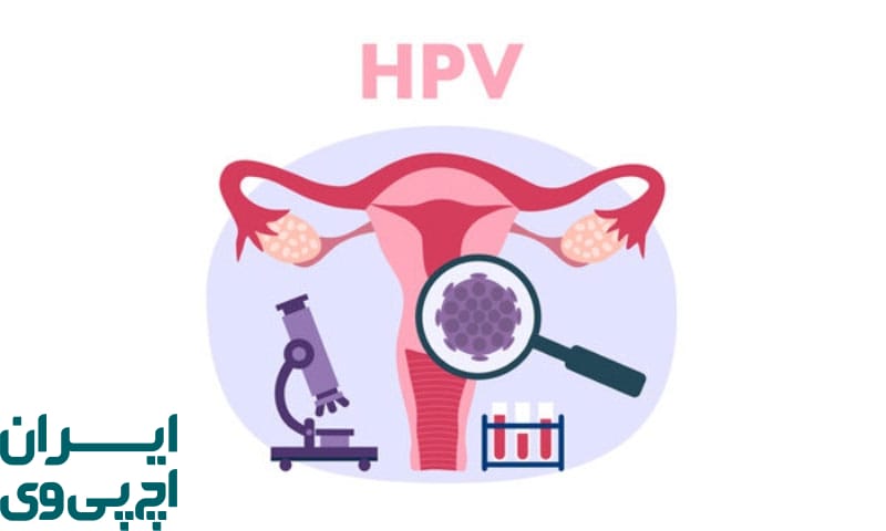 تفاوت خاموشی در نوع کم‌ خطر و پر خطر HPV