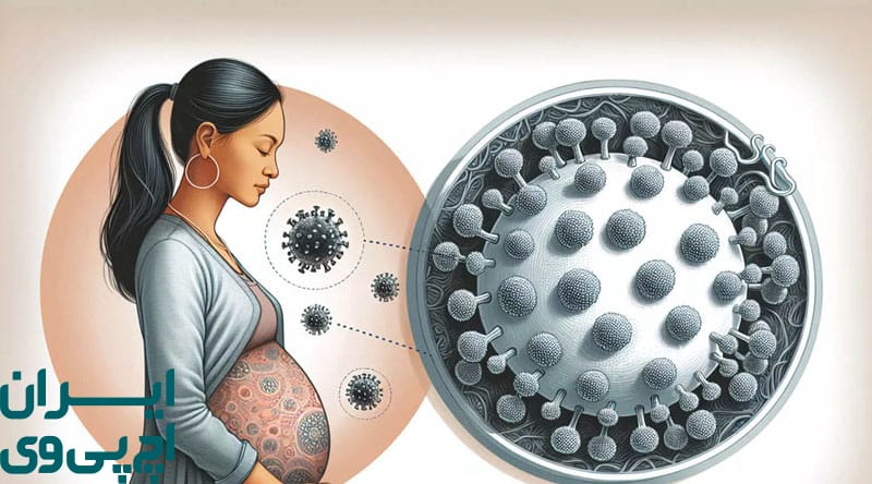 خطر انتقال HPV از طریق جفت