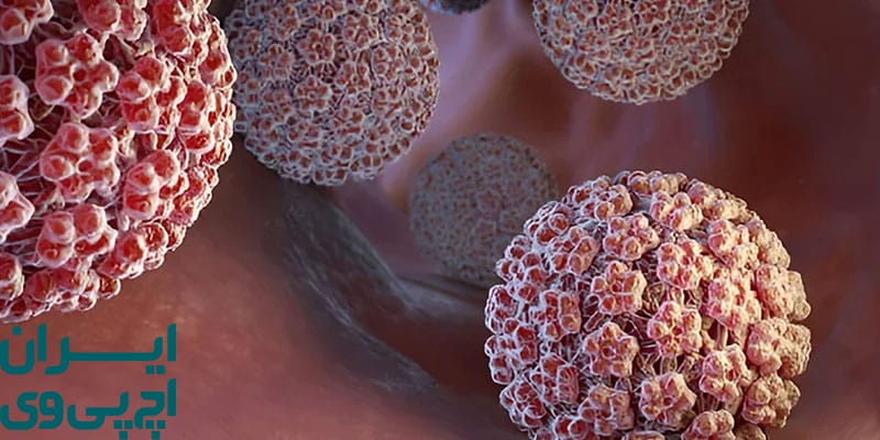 مکانیزم بقاء ویروس HPV روی سطوح پارچه‌ ای