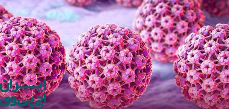 نقش سیستم ایمنی در حذف ویروس HPV