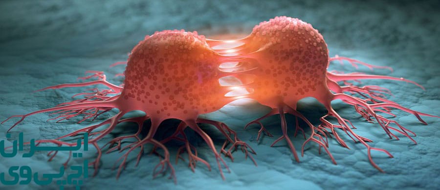 چگونه HPV به بافت‌ های حنجره راه پیدا می‌کند؟