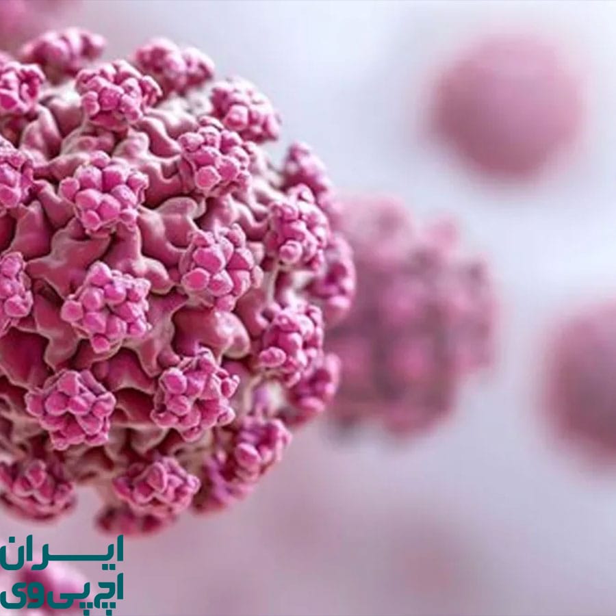 تحلیل علمی اثرات AHCC بر ویروس HPV