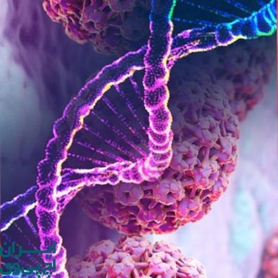 تفاوت‌ های عملکردی AHCC به سایر مکمل‌ها در درمان HPV